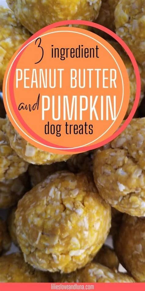 No Bake Peanut Butter And Pumpkin Dog Treats Recipe In 2023 Dog