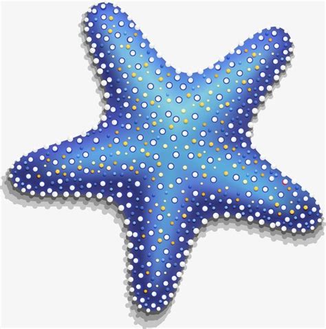 Le vecteur de l étoile de mer Gratuit PNG et Vecteur | Starfish drawing