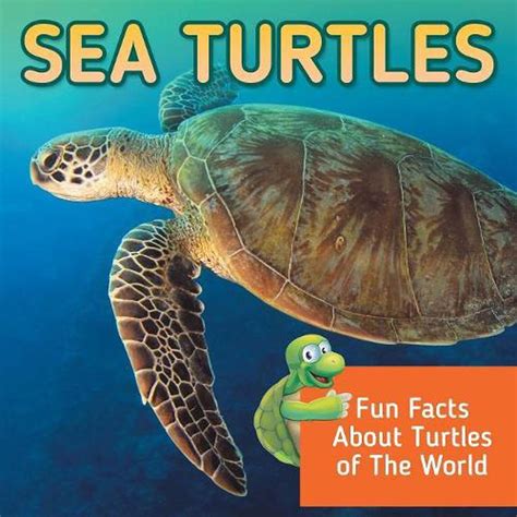 Sea Turtles Fun Facts About Turtles Of The World By Baby Professor