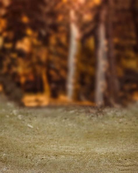 Cb Blur Forest Background Download Full Hd Kreditings
