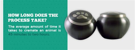 Understanding how the cremation process works can make deciding if cremation is right for you easier. Guide to Pet Cremation | How it Works & What To Expect | Agape