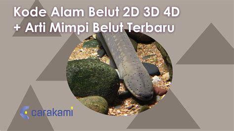 mimpi belut