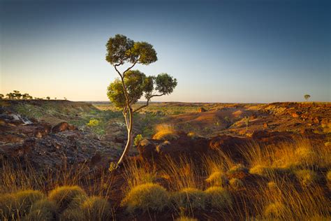Ben Messina Nature And Landscape Photography Australian