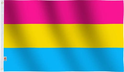 Rhunt Pansexual Flag 3x5ftlgbt Pansexuality