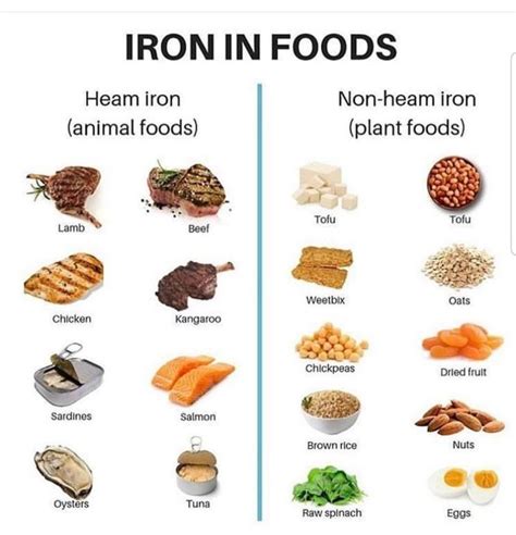 Iron Foods Ig Credit Vitaminsnherbs Foods With Iron Food Raw Spinach