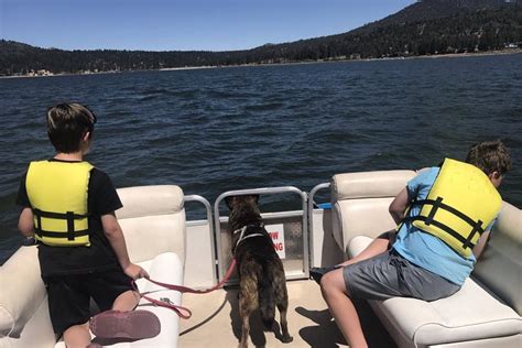 Dog Friendly Activities In Big Bear Lake Ca Bringfido