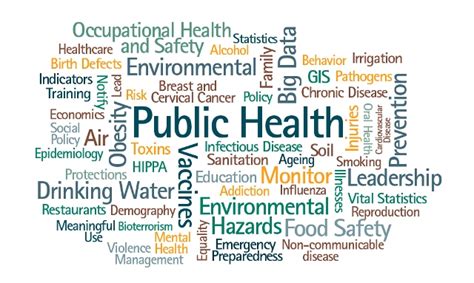 Public Health Careers: Job Scopes, Top Colleges & Salary | Stoodnt
