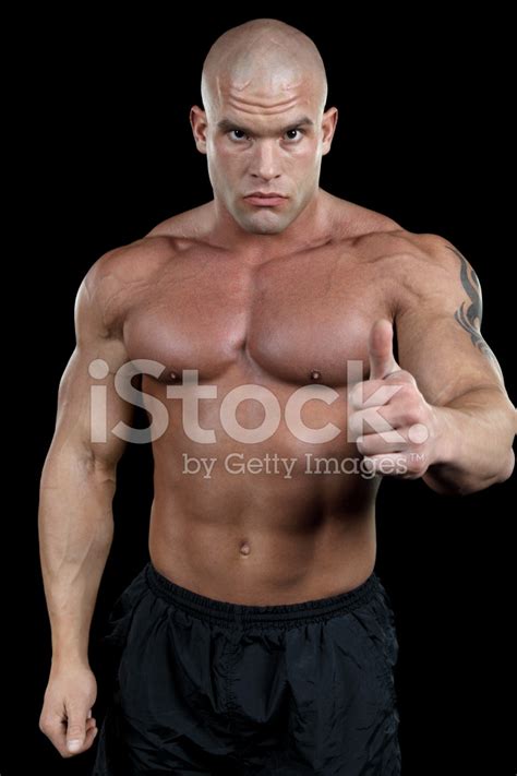 Powerful Male Portrait Stock Photo Royalty Free Freeimages