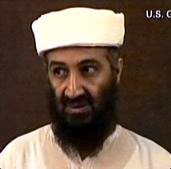 Osama Bin Laden Porn Telegraph