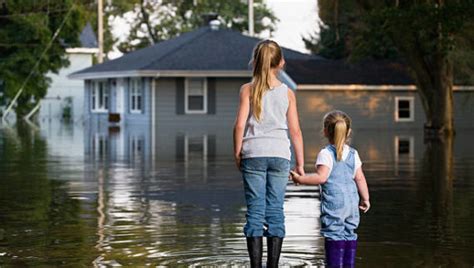 How much does flood insurance cost? How Much Does Flood Insurance Cost? - Forbes Advisor