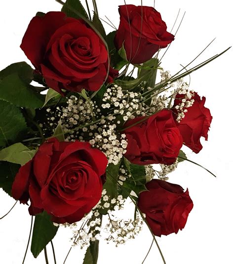 Blumenstrauß Verschicken Mit 6 Roten Rosen
