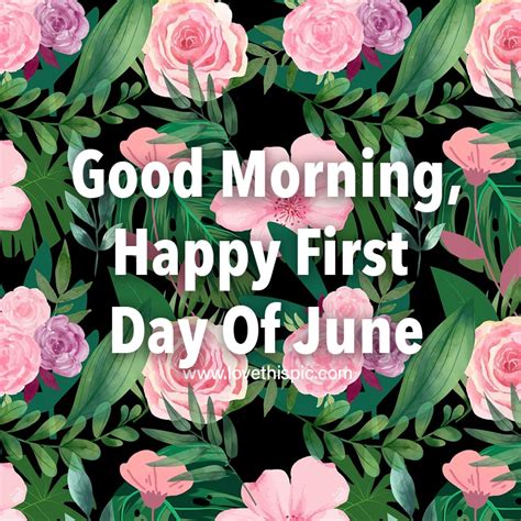 Good Morning And Happy First Day Of June Pictures Photos And Images For