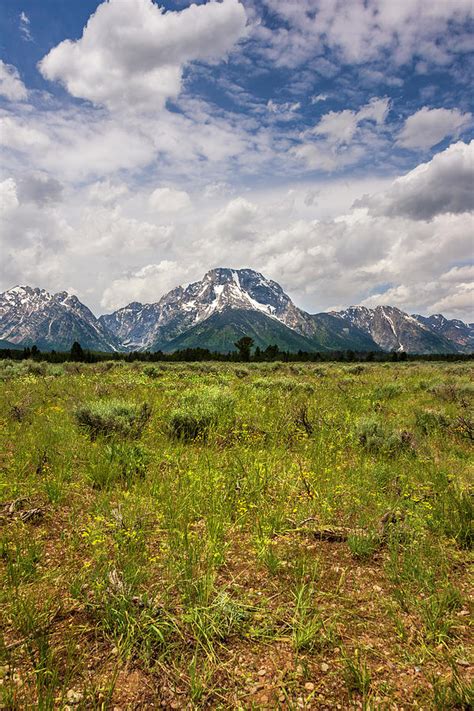 Mount Moran Grand Teton National Park Photograph By Brian Harig Pixels