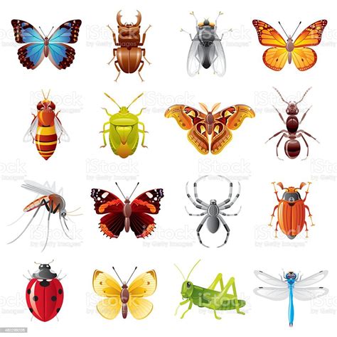 Insects Icon Set Stock Illustration Download Image Now Insect
