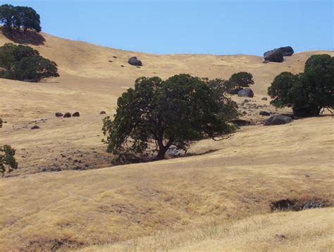 Vacaville Ca This Is A Photograph Of Vacaville S Hills Photo Picture Image California At