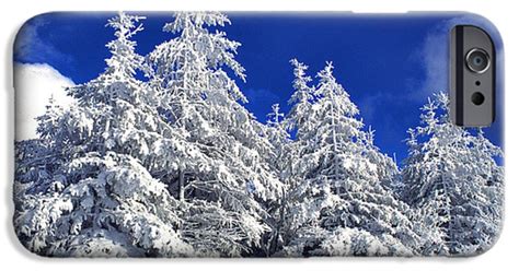 Snow Covered Pine Trees Iphone 6s Case For Sale By Thomas R Fletcher