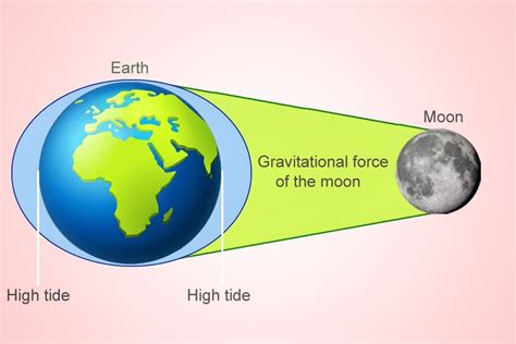 How Gravitational Force Of Different Planets And Moon Affect Earth