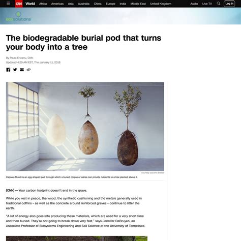 The Biodegradable Burial Pod That Turns Your Body Into A Tree Cnn — Arena