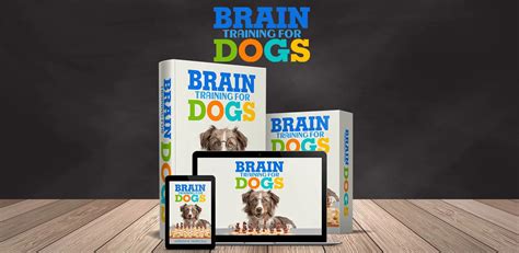 Apr 7 Brain Training For Dogs Review What Makes It Great For Your
