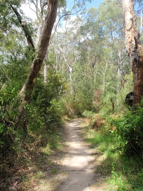 Epping Station Lane Cove River Loop Walking Track