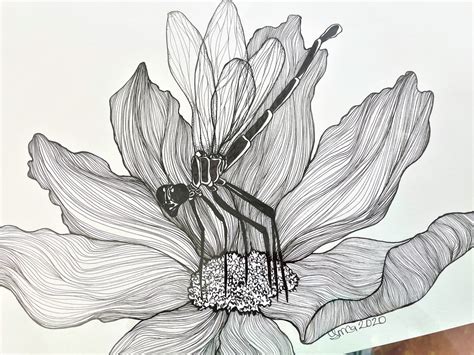 Pen And Ink Dragonfly Pen And Ink Drawing Bug Drawing Etsy