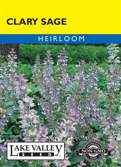 clary sage item 4621 lake valley seed