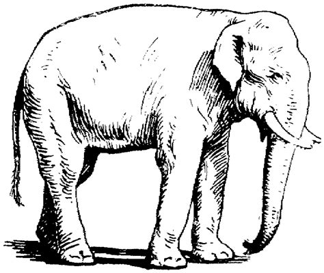 Animal coloring pages can be easily found on the internet and many of them are free of charge. Free Elephant Coloring Pages