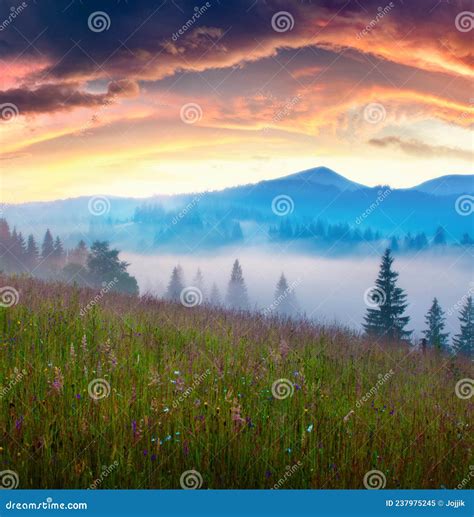 Captivating Sunrise On Carpathians Stock Image Image Of Beautiful
