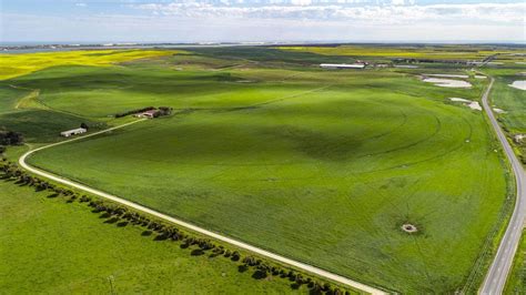 Best In Class Dairy Farm For Sale South Australia