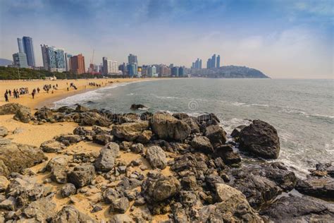 Haeundae Beach Busan Korea Stock Photo Image Of Skyscraper South