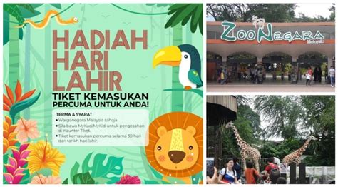 Zoo negara + panda conservation centre ticket. Zoo Negara Tawar Tiket Masuk Percuma Selama 30 Hari Dari ...