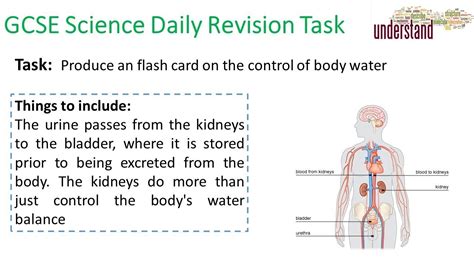 Gcse Science Daily Revision Task 123 Youtube