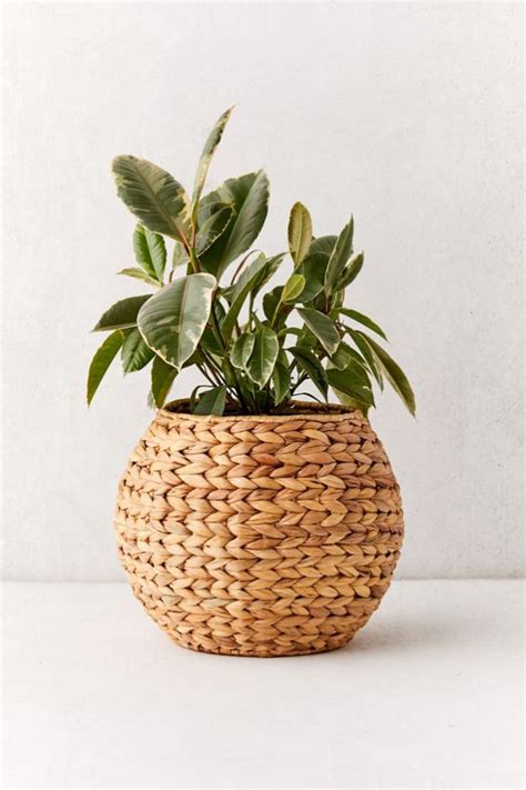 Baskets For Your Indoor Plants My Tasteful Space