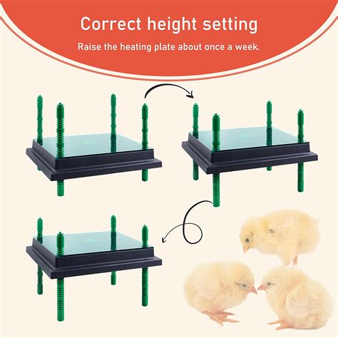 Buy Aowoil Chick Heating Plate Brooder Heat Plate For Chicks And