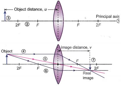 An optical lens is generally made up of two spherical surfaces. What are the Types of Spherical Lenses - A Plus Topper