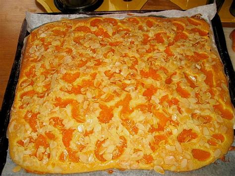 Altenburger mandarinenkuchen gehen rezept, zutaten, anleitung auf wie kocht man. Altenburger Mandarinenkuchen von Dragonfly-Lady | Chefkoch.de