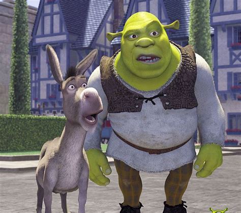The Best 11 Shrek Meme Face Confused Modlinkesz