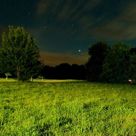 Grass By Night Flickr Photo Sharing