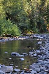 Oregon Campgrounds Reservations Photos