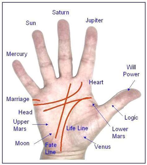Palmistry An Insight Of This Art Hubpages