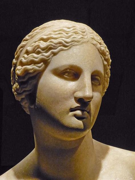 Bust Of Aphrodite Roman Copy Of Bce Greek Original By Praxiteles Found In The River Tiber In