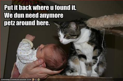 25 Cute Cat And Baby Funny Pictures Together London Beep