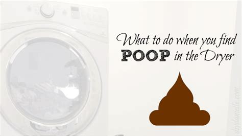 How To Clean Poop Out Of The Dryer Diy Danielle®