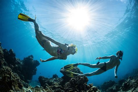 Snorkeling Skin Diving And Freediving Whats The Difference