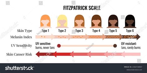 22 Fitzpatrick Scale Images Stock Photos Vectors Shutterstock