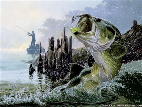 47 Bass Fishing Wallpaper Hd On Wallpapersafari