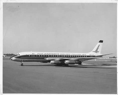 Eastern Airlines Dc 8 Golden Falcon Jet Age Vintage Aircraft