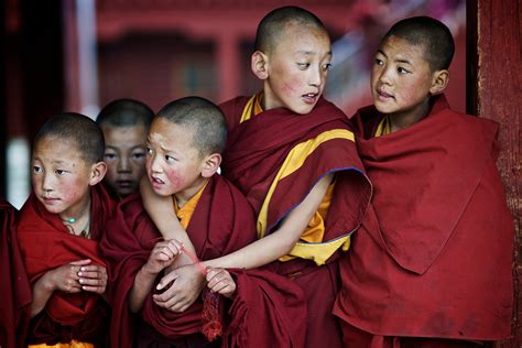 China To Set Up Online Database Of ‘living Buddhas Tibetan Review
