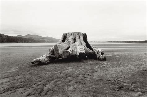 Exhibition Review American Silence The Photographs Of Robert Adams
