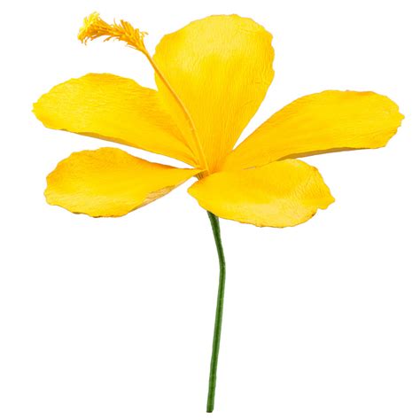 20 Giant Hibiscus Paper Flower Stem Yellow 245092